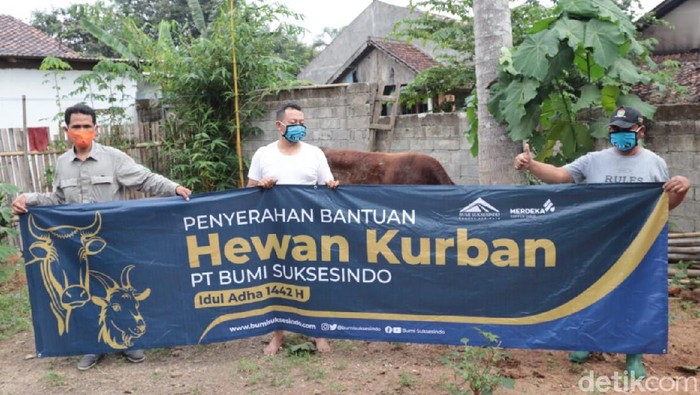 pt bsi sumbang hewan kurban