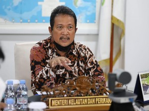 RI Mau Gandeng Vietnam Perangi Penyelundupan Benih Lobster