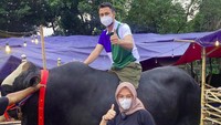 Raffi Ahmad juga akan berkurban 10 sapi dan 10 kambing. Satu sapi dengan bobot 1,4 ton dan diberi nama Bager juga menjadi salah satu hewa kurban Raffi Ahmad dan Nagita Slavina. Foto: dok. Instagram raffinagita1717