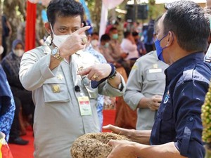 Mentan Dorong Petani Budidaya Porang dengan Teknologi Lebih Maju