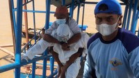 Memakai alat pelindung diri (APD), polisi itu menggendong pasien saat naik dan turun perahu.  