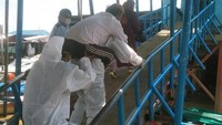 Kapolres Indragiri Hilir AKBP Dian Setyawan membenarkan bahwa lokasi video viral itu di wilayahnya. Evakuasi bermula saat Bripka Dedek mendapat kabar adanya pasien suspek COVID-19 dan mengalami sesak napas.  