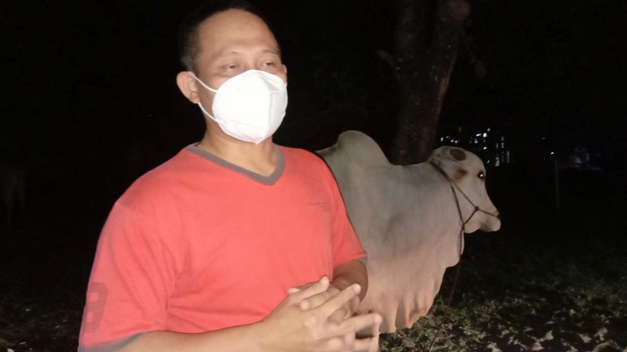 Bupati Kebumen Kurban 10 Sapi