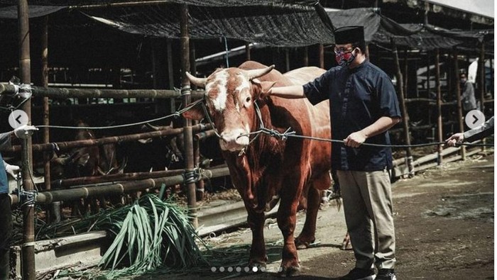 Gubernur DKI Jakarta Anies Baswedan berkurban sapi limosin 1,1 ton