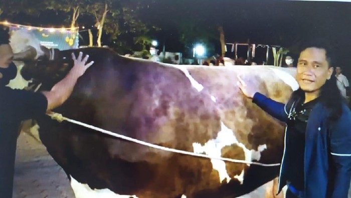 Gus Miftah dan sapi Limousin seberat 1,3 ton untuk kurban