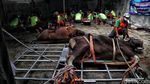 Mengintip Proses Pembagian Daging Kurban Saat PPKM Darurat