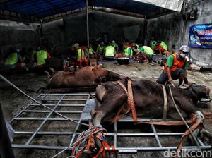Sejarah Hari Raya Kurban