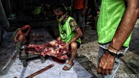 Perlu diketahui saat ini Kementerian Agama  telah menerbitkan aturan khusus terkait tata cara pemotongan hewan kurban saat PPKM Darurat dan pelaksanaan ibadah sholat Idul Adha 2021. Aturan tersebut tertuang di dalam Surat Edaran Menteri Agama Nomor 17 Tahun 2021.