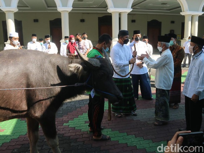 Kurban kerbau saat Idul Adha di Kudus, Selasa (20/7/2021).