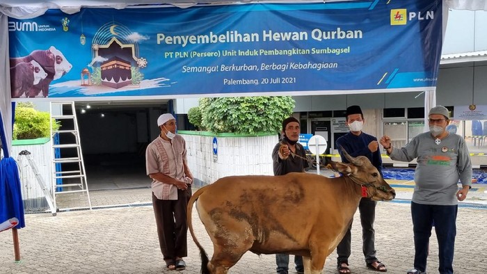 Kurban PLN