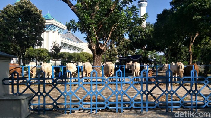 Masjid Al Akbar Surabaya tidak mengelar salat Idul Adha 1442 Hijriah untuk umum. Salat hanya diikuti 75 orang internal.