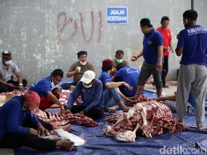 4 Tips Cegah Penularan PMK untuk Panitia Kurban Idul Adha