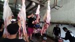 Melihat Kesibukan RPH di Hari Raya Idul Adha