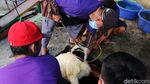 Warga Bekasi Potong Hewan Kurban dengan Prokes Ketat