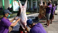 Proses pemotongan dilakukan dengan protokol kesehatan yang ketat.  