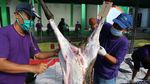 Warga Bekasi Potong Hewan Kurban dengan Prokes Ketat