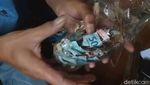 Niat Kurban Idul Adha, Uang Pedagang di Garut Ini Malah Dimakan Rayap