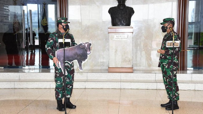 Palinglima TNI Serahkan Satu Sapi Kurban Idul Adha (dok.Istimewa)
