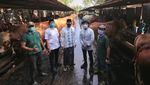 Sandiaga Uno Tebar 1.000 Hewan Kurban di Berbagai Daerah