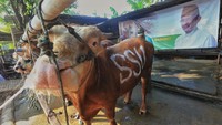 Ia pun mengungkapkan, 1.000 Hewan Qurban itu dibagikan ke-17 Provinsi mulai dari  Jawa Timur, Jawa Tengah, DIY, Jawa Barat, DKI Jakarta, Banten, Kalimantan Selatan, Sulawesi utara, Sulawesi Tengah, Sulawesi tenggara, Sulawesi Selatan, Gorontalo, Sumatera Utara, Riau, NTT, dan  NTB. Sandiaga Uno menegaskan, momentum Idul Adha 1442H diharapkan mampu untuk  Memperkokoh Pilar Persatuan Umat, Menyiapkan  Pilar Kebangkitan  Ekonomi Umat serta Meneguhkan Semangat Keadilan Sosial.  