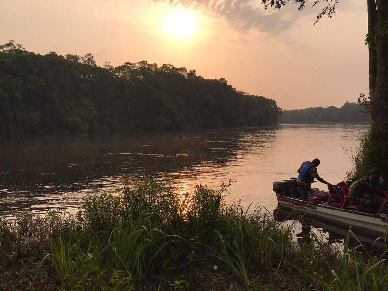 Taman Nasional Salonga di Kongo