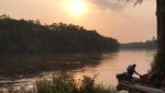 Foto Hutan Lindung Terbesar Afrika, Terlarang untuk Perburuan Minyak