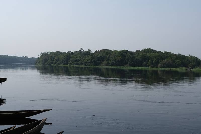 Taman Nasional Salonga di Kongo