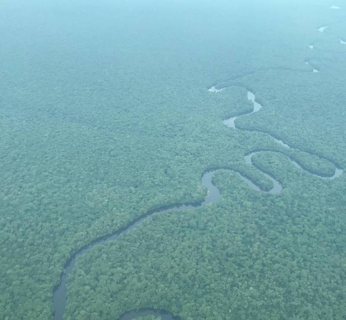 Taman Nasional Salonga di Kongo Taman Nasional Salonga di Kongo