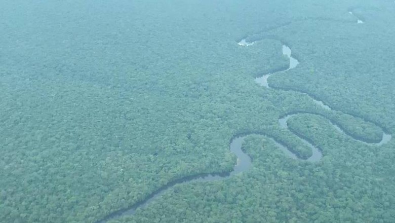 Taman Nasional Salonga di Kongo Taman Nasional Salonga di Kongo