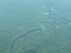 10 Sungai Terpanjang di Dunia