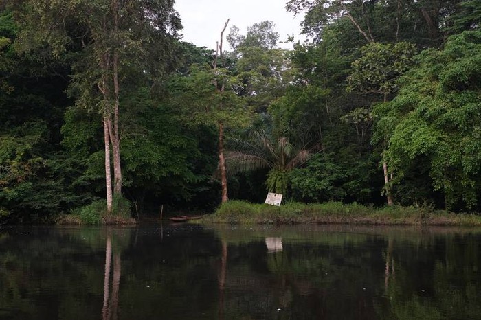 Taman Nasional Salonga di Kongo Taman Nasional Salonga di Kongo