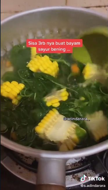 Hemat! Ibu Ini Buktikan Hanya Habiskan Rp 10 ribuan untuk Sekali Masak