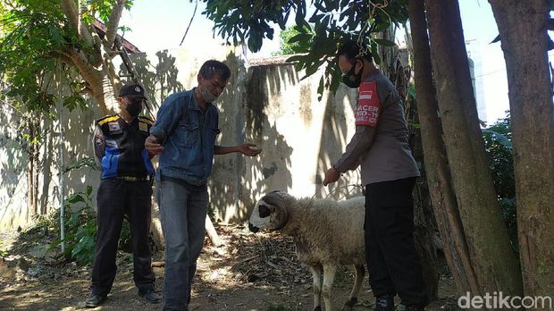 Bahagia Mang Iyad Usai Uang Kurban Digerogoti Rayap Diganti Polisi