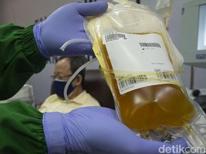 Plasma Konvalesen Dapat Cegah Gawat Janin Pada Bumil Terpapar Covid-19