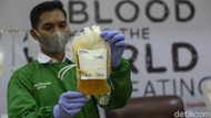 Pemerintah Ajak Masyarakat Gotong Royong Lewat Donor Plasma Konvalesen