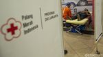 Banyak Dicari, Stok Plasma Konvalesen PMI Menipis