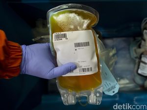 Plasma Konvalesen Terapi Penyembuh COVID-19