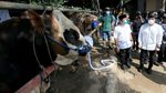 Berbagi Daging Kurban untuk Masyarakat Terdampak Pandemi