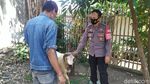 Berkah Pedagang di Garut Imbas Uang Kurban Dimakan Rayap