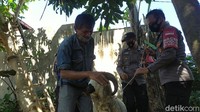 Sebelumnya diberitakan, Mang Iyad harus rela uang tabungannya rusak akibat digerogoti rayap. Mang Iyad sedianya akan menggunakan uang tersebut untuk membeli hewan kurban. Mang Iyad yang sehari-hari berjualan kopi dan makanan ringan di sebuah warung kecil di pinggir kantor Kecamatan Garut Kota itu sudah sekitar satu tahun menabung untuk membeli hewan kurban. Terakhir dihitung, uang senilai Rp 2,7 juta sudah terkumpul.