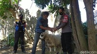 Yadi Supardi alias Mang Iyad, seorang pedagang asal Garut tak kuasa menahan tangis saat menerima domba pemberian dari polisi. Polisi memberikan domba sebagai pengganti uang tabungan untuk berkurban Mang Iyad yang rusak digerogoti rayap.