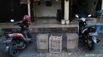 Curhat Pedagang Burung di Solo Imbas PPKM Level 4