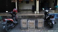 Aktivitas para pedagang kini hanya merawat hewan yang dijual.