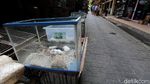 Curhat Pedagang Burung di Solo Imbas PPKM Level 4