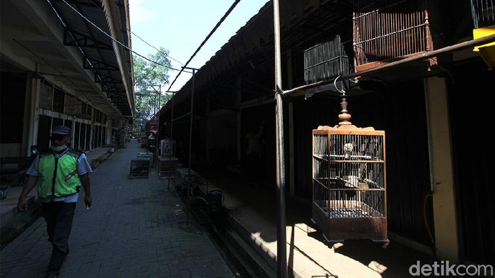 Curhat Pedagang Burung di Solo Imbas PPKM Level 4 Keluhan imbas PPKM kini datang dari para pedagang burung di Pasar Hewan Depok, Solo, Jawa Tengah.