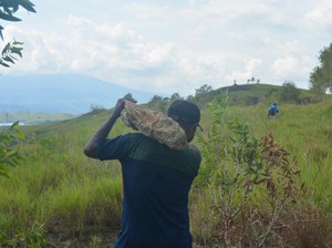 Fosil Kayu, Bahan Baku Terbaik Batu Akik dari Papua