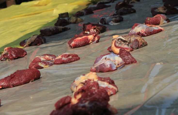 Hukum Berkurban dan Memberikan Daging Kurban Bagi Umat Non Muslim