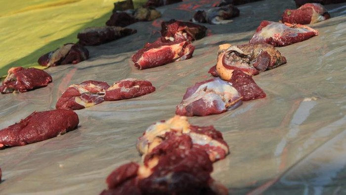 Hukum Berkurban dan Memberikan Daging Kurban Bagi Umat Non Muslim
