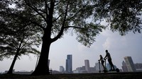 Kebakaran ini diklaim sebagai kebakaran hutan terbesar keempat dalam sejarah. AP Photo/Julio Cortez  