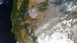 Langit New York Diselimuti Kabut Asap Gegara Kebakaran Hutan